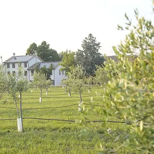 Appartamento Casa Di Alba - Alloggi Turistici, Vigolzone